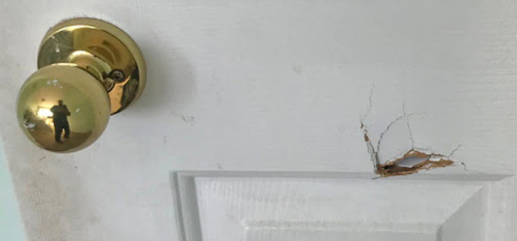 interior door hole repair Walnut Park