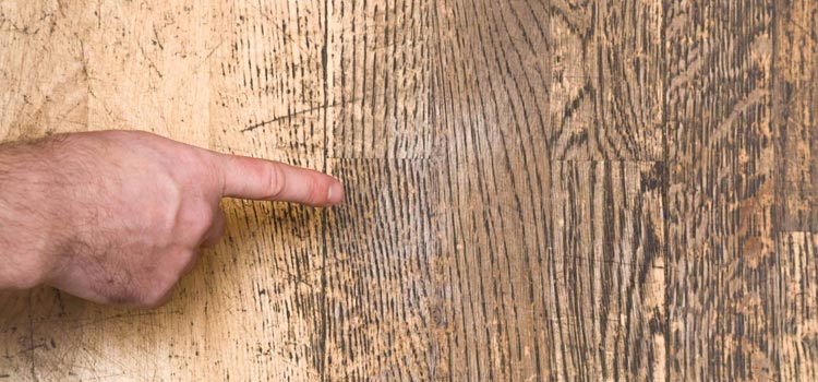 Wood Door Scratch Repair in Walnut Park